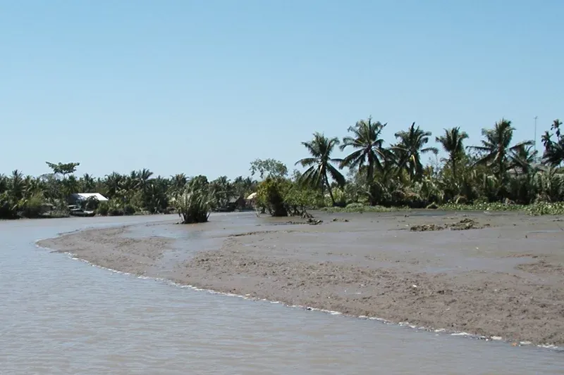 Đất phù sa được đánh giá là loại đất trồng cây tốt nhất