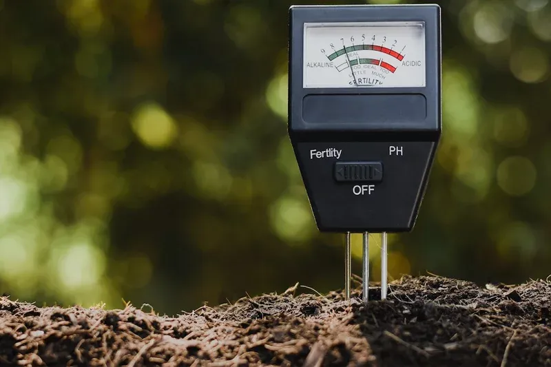 Độ pH đất ảnh hưởng đến quá trình hấp thu chất dinh dưỡng của cây