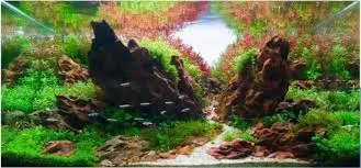 Một mảng bố cục đá Tiger hoàn chỉnh với các khối đá được ghép nối khéo léo, sẵn sàng để trồng cây