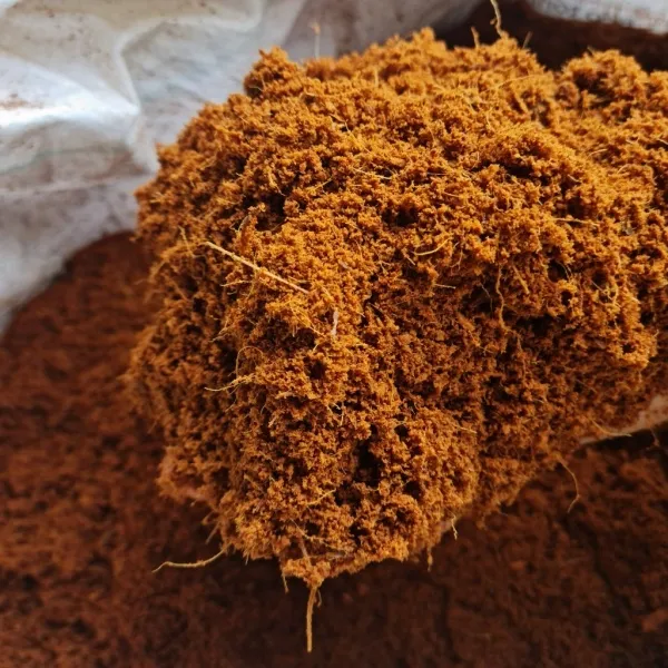 Hình ảnh xơ dừa đã được xử lý đựng trong khay