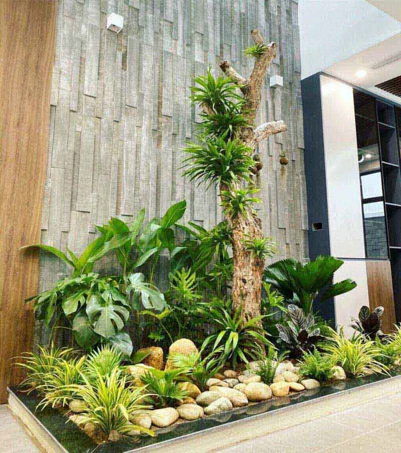 Các tiêu chí lựa chọn loại cây trồng trong nhà phù hợp với không gian và phong thủy