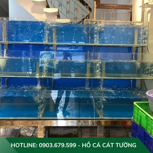 Ảnh minh họa thi công hồ hải sản chuyên nghiệp