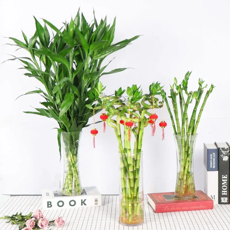 Mười cây phát tài phát lộc tượng trưng cho sự hoàn hảo và trọn vẹn.