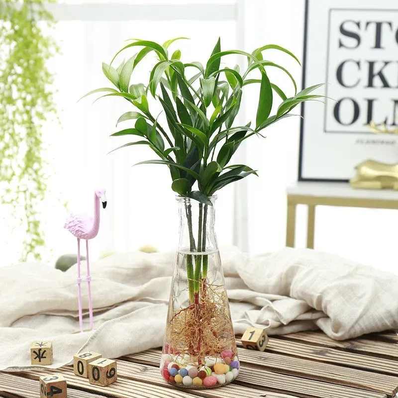 Bốn cây phát tài phát lộc được sắp xếp trong một bình, biểu thị cho tài lộc và phú quý.