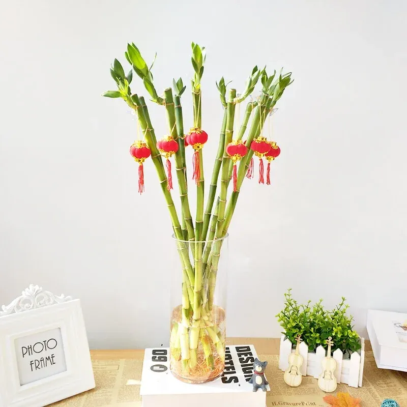 Chín cây phát tài phát lộc tượng trưng cho sự trường tồn và hạnh phúc gia đình.