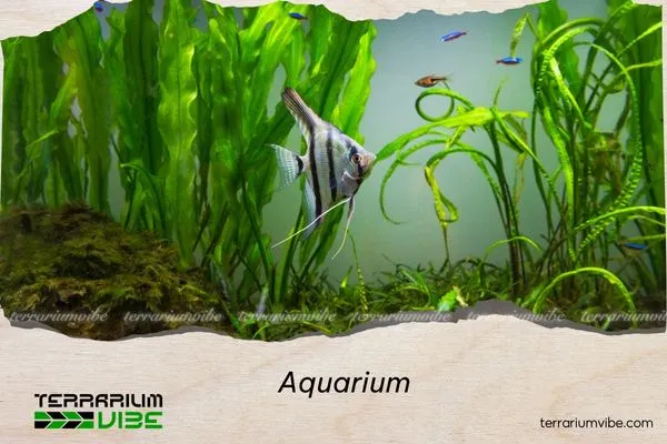 Aquarium