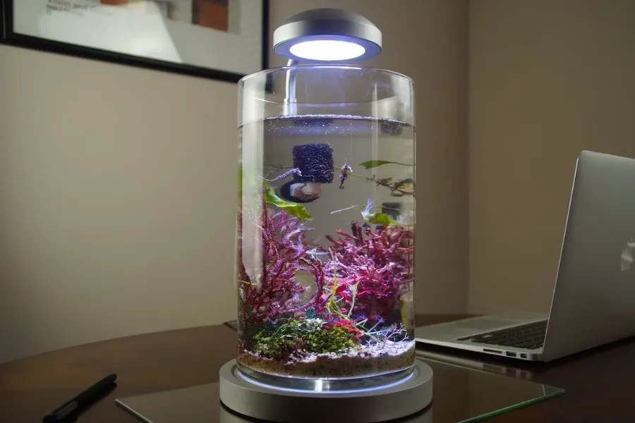 Bể cá mini hình trụ hiện đại thích hợp trang trí bàn làm việc