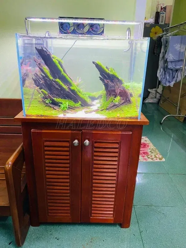 Bộ bể cá kết hợp với đèn LED treo bể