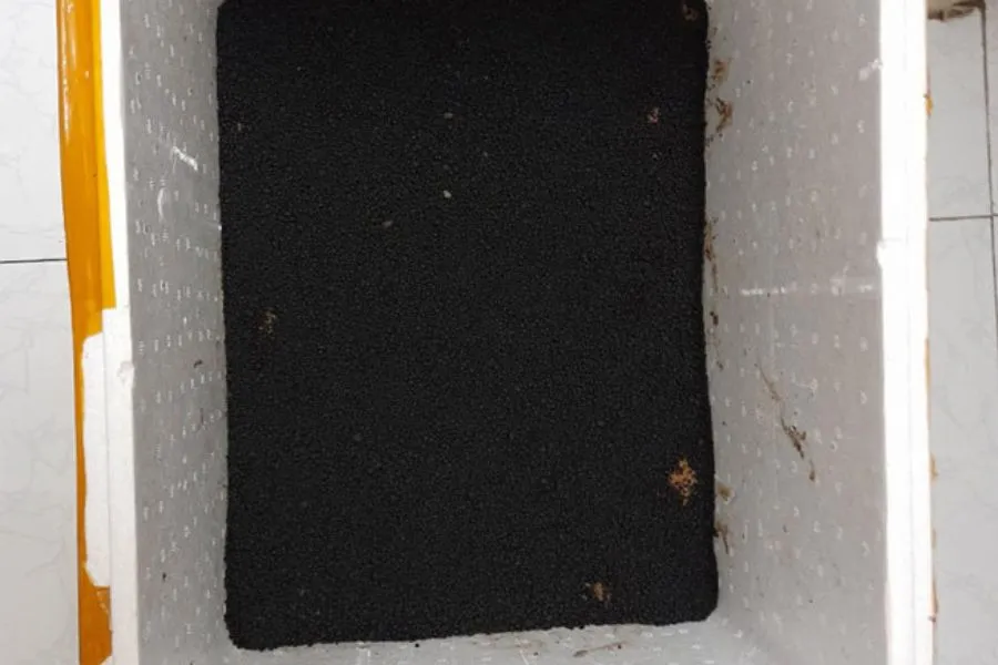 Cho đất vào thùng xốp