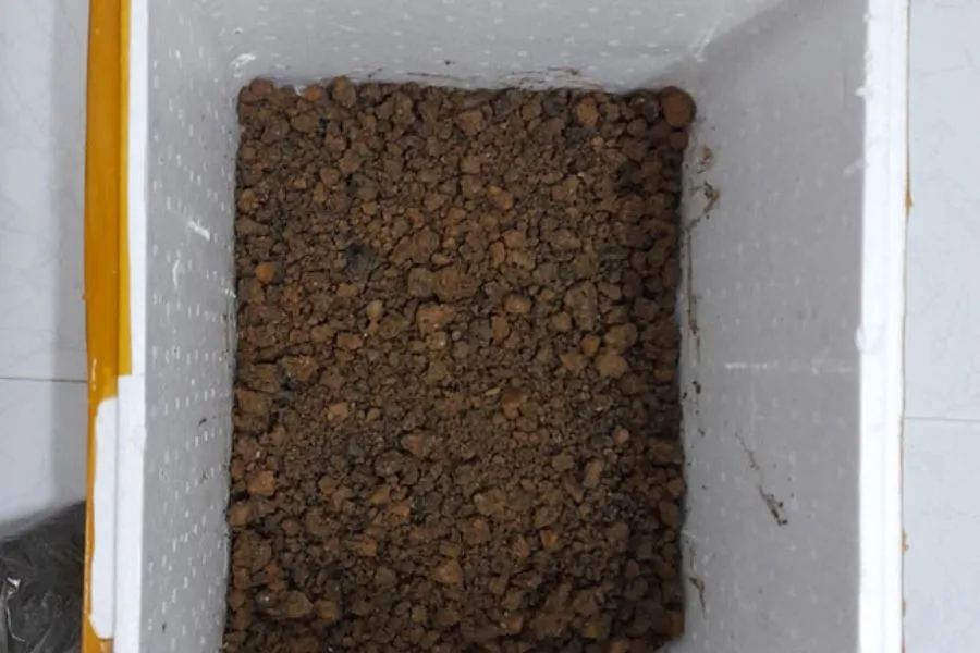 Cho xỉ than và sỏi nh Muñoz vào thùng xốp