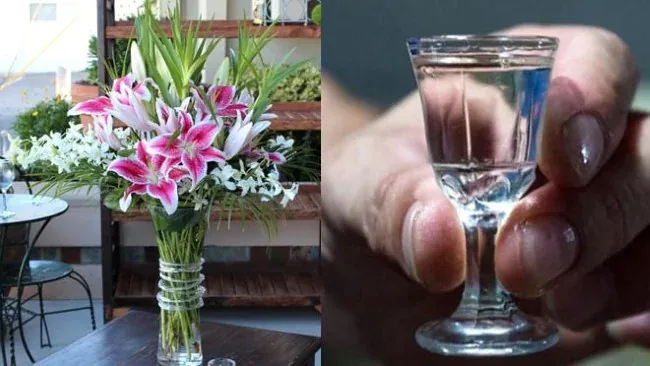 Cho thÃªm rÆ°á»£u vÃ o bÃ¬nh hoa