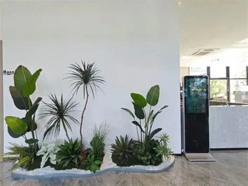 Cây cảnh trong nhà đẹp với nhiều loại khác nhau