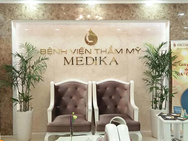 Cây cau Hawai trang trí nội thất sang trọng