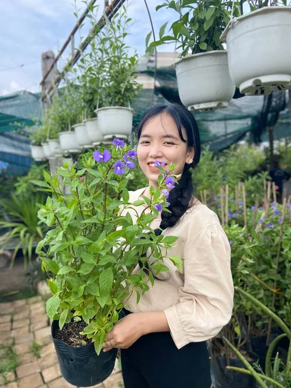 Cảnh quan sân vườn với cây bướm xanh tô điểm