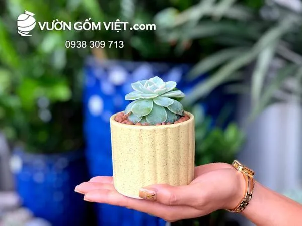 Chậu cây cảnh mini gốm sứ với bề mặt nhẵn mịn