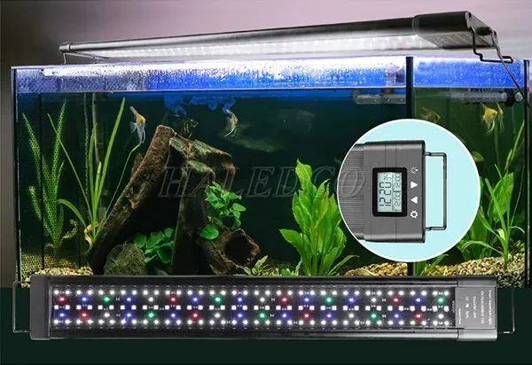 Chế đèn LED thủy sinh đơn giản tại nhà