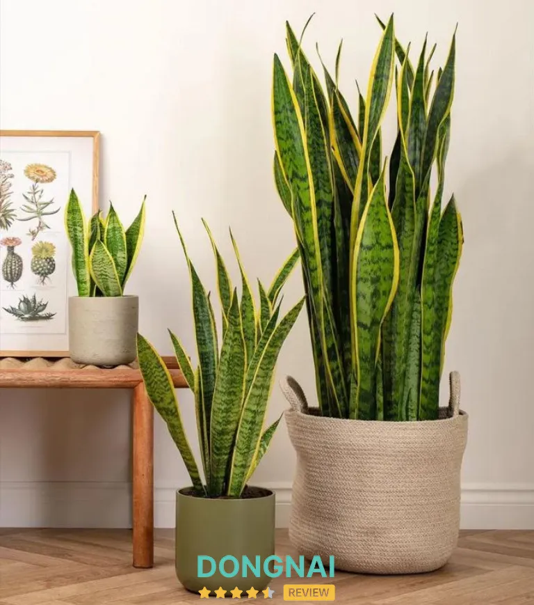 Công ty TNHH Lộc Phát – 520/2/3 Đồng Khởi