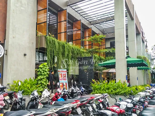 Cúc tần Ấn Độ được trồng tại nhiều không gian khác nhau