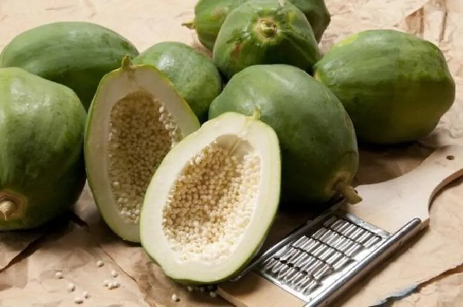 Đu đủ xanh là loại trái cây mẹ bầu không nên ăn trong suốt thai kỳ