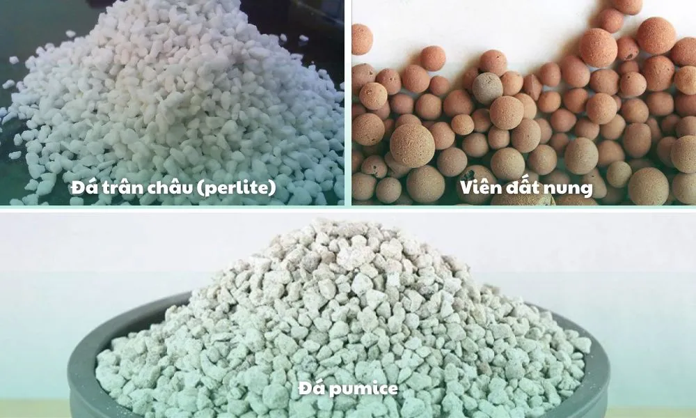 Các loại giá thể vô cơ phổ biến