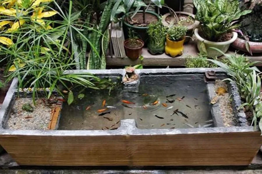 Kích thước hồ còn hạn chế