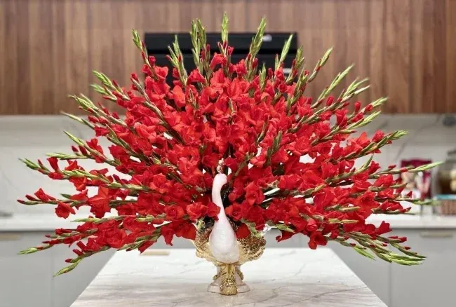 Hoa lay ơn chưng Tết