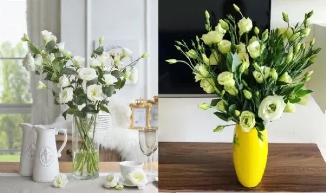 Hoa cát tường trang trí Tết trong nhà