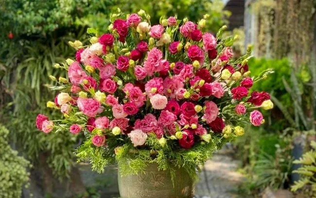 Hoa cát tường trang trí Tết trong nhà