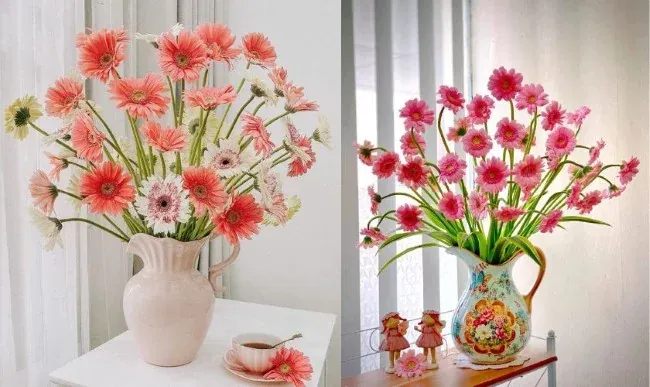 Hoa đồng tiền chưng Tết