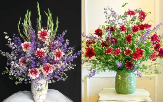 Hoa thược dược chưng Tết phòng khách