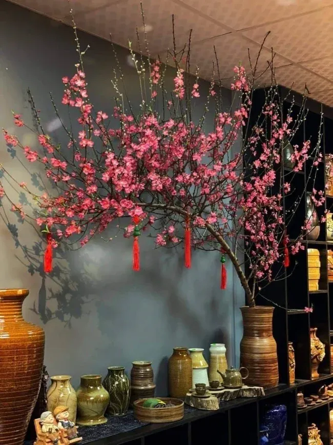 Hoa đào ngày Tết