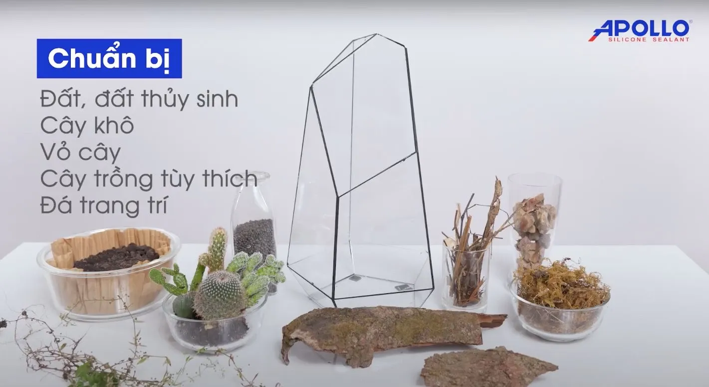 Trang trí bể terrarium đa giác theo sở thích cá nhân giúp góc làm việc trở nên sinh động hơn