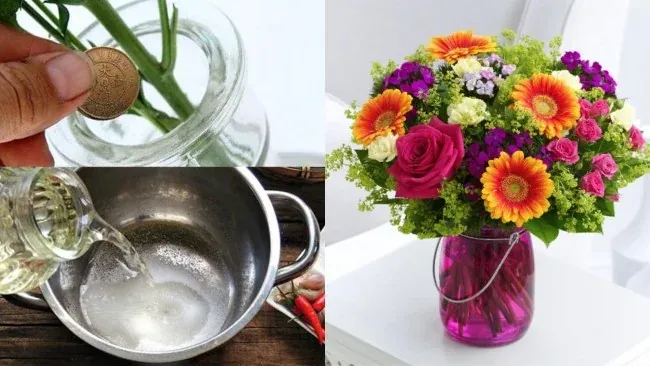 Cáº¡n máº¹o cáº¯m hoa tÆ°Æ¡i lÃ¢u Ä‘áº¿n háº¿t Táº¿t váº«n chÆ°a tÃ n