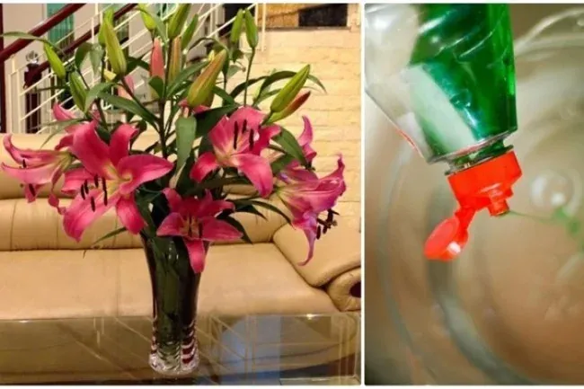 Giá»¯ hoa tÆ°Æ¡i lÃ¢u vá»›i thuá»‘c táº©y