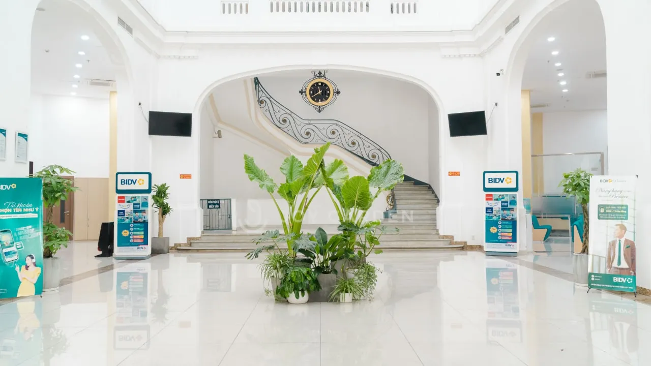 Cây xanh văn phòng tại BIDV