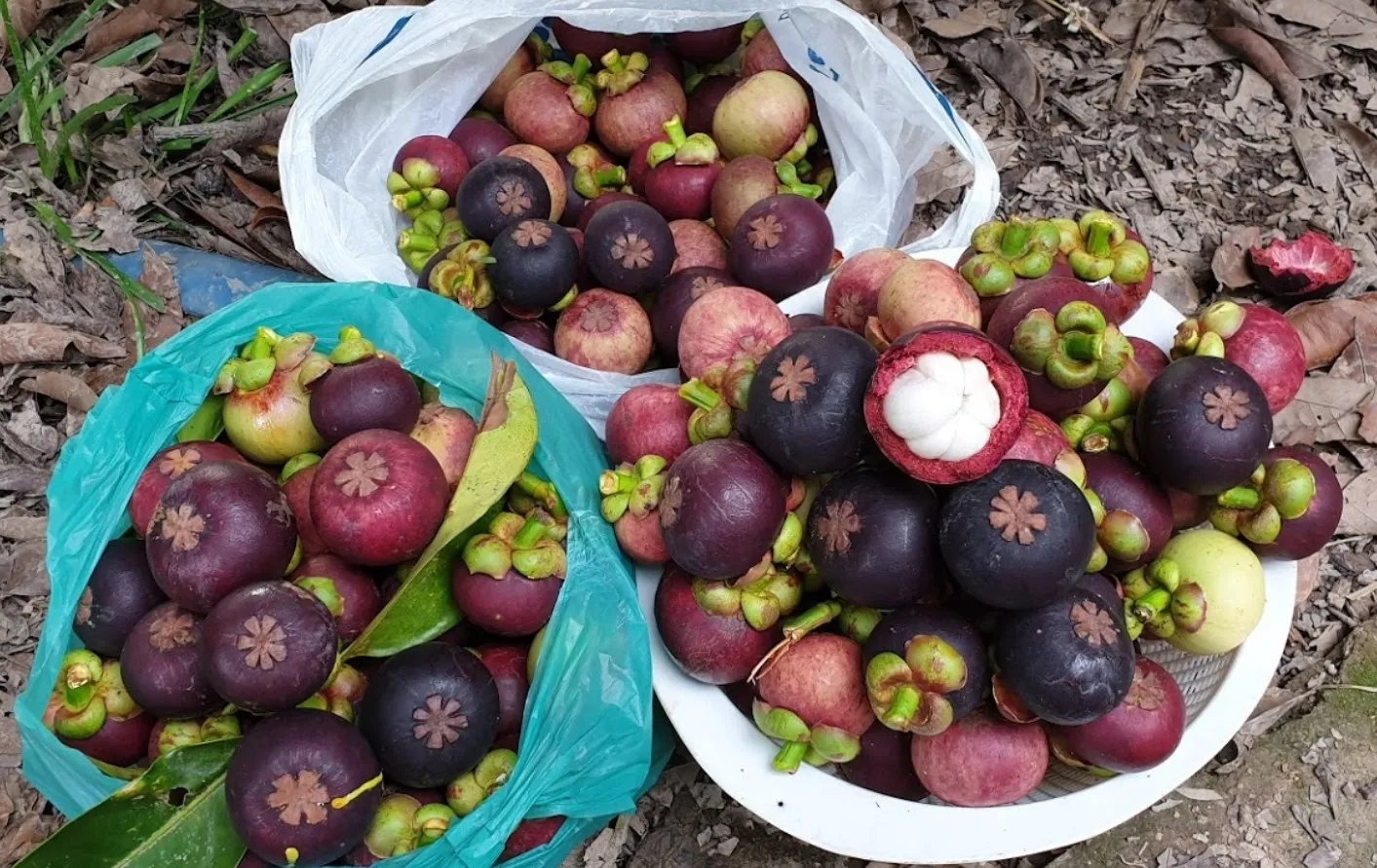 Trái cây tươi ngon tại Cái Mơn