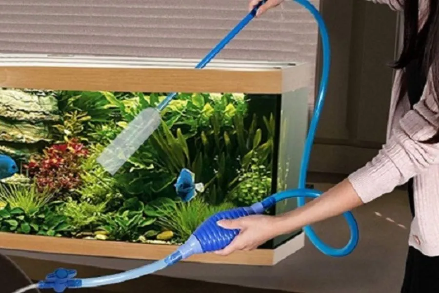 Vệ sinh bể cá định kỳ