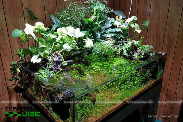 Vivarium có thể là một bể cá, một hồ nước nhỏ