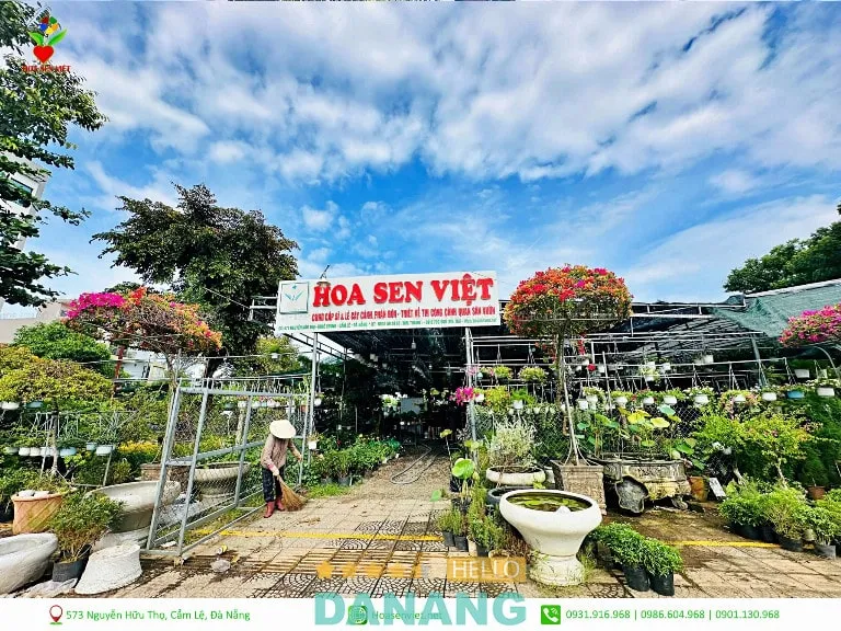 Các loại cây cảnh đa dạng tại Hoa Sen Việt Đà Nẵng