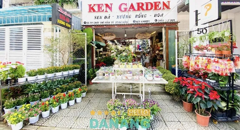 Sen đá và xương rồng tại Ken Garden Đà Nẵng
