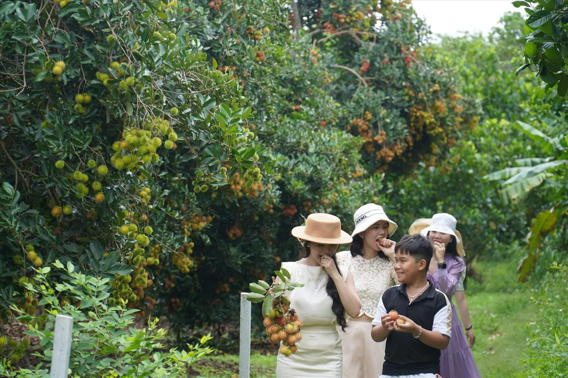 Vườn trái cây ở gần Sài Gòn Long Khánh Đồng Nai