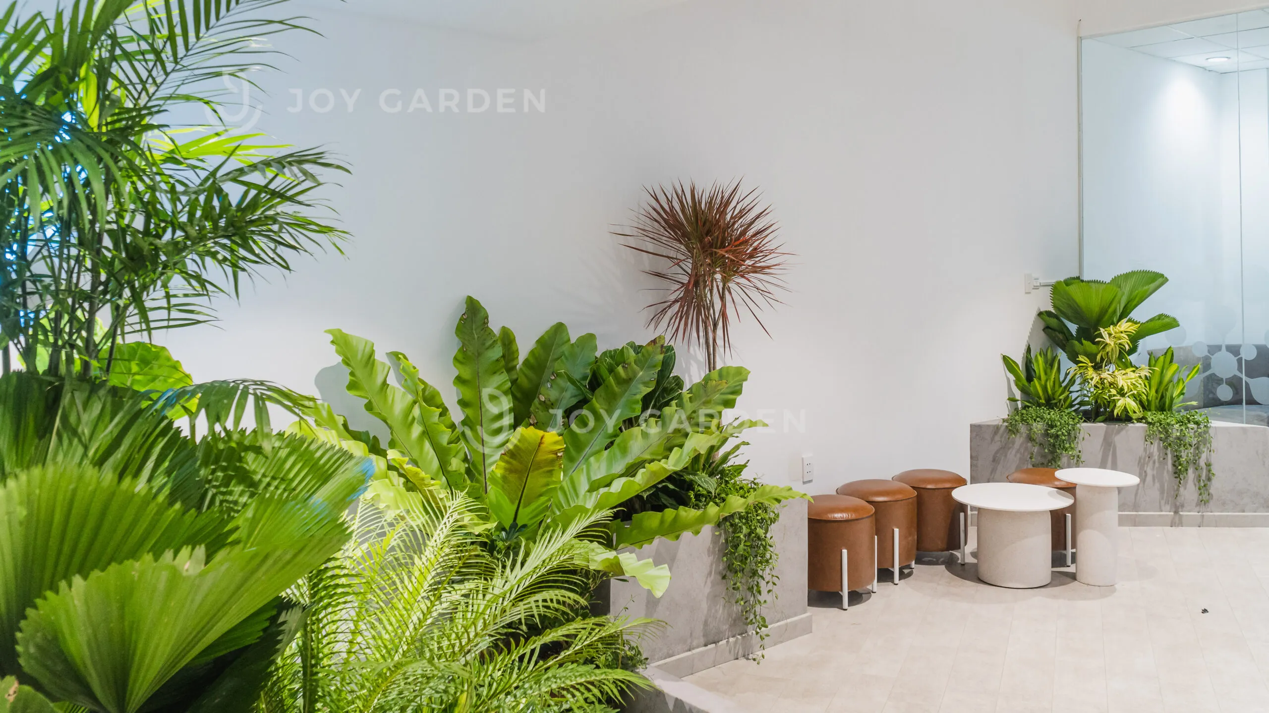 Dự án YouNet Media