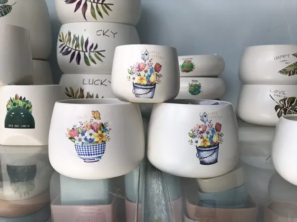 Món quà tặng ý nghĩa với chậu cây gốm sứ