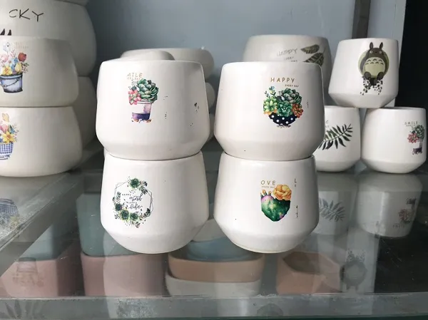 Chậu cây gốm sứ mang lại sự hài hòa phong thủy cho không gian sống