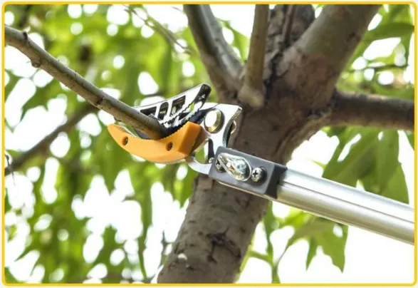 Dụng cụ hỗ trợ cắt tỉa cành trên cao vô cùng tiện lợi