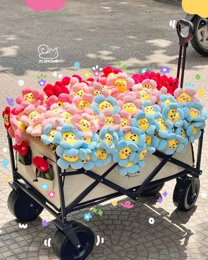 Hoa bông Ốc Sên với màu sắc tươi tắn