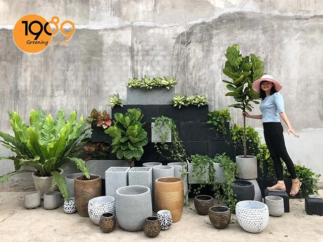 Bán chậu cây cảnh xi măng hình chữ nhật hcm