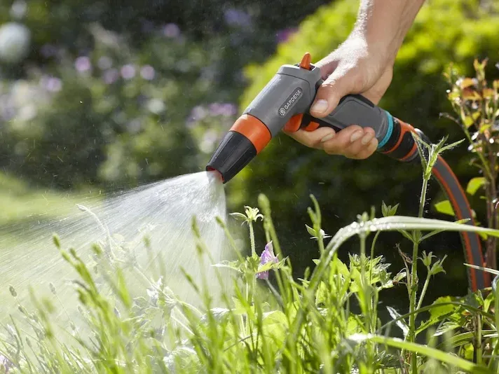 Tưới nước đúng cách là yếu tố quan trọng để cây phát triển