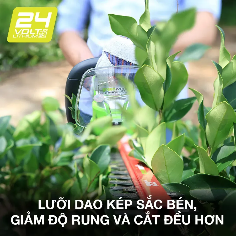 Sử dụng các công cụ cắt tỉa phù hợp để chăm sóc cây chuối cảnh