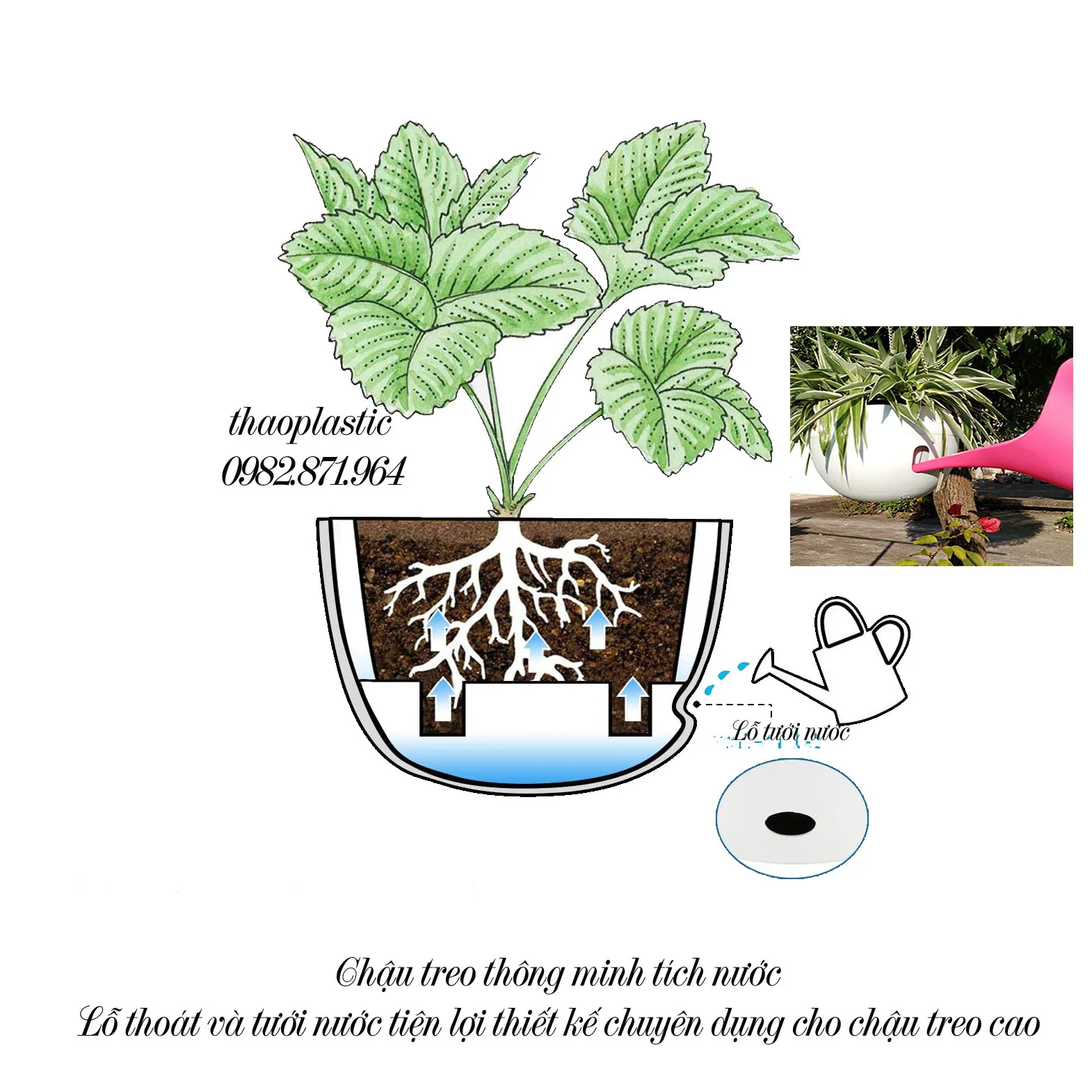 Cơ chế tích nước của chậu thông minh